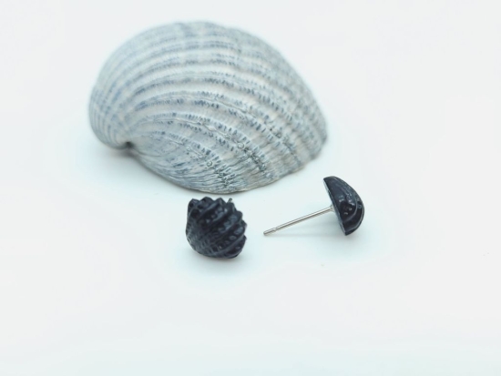 Mini Muschel Ohrstecker
